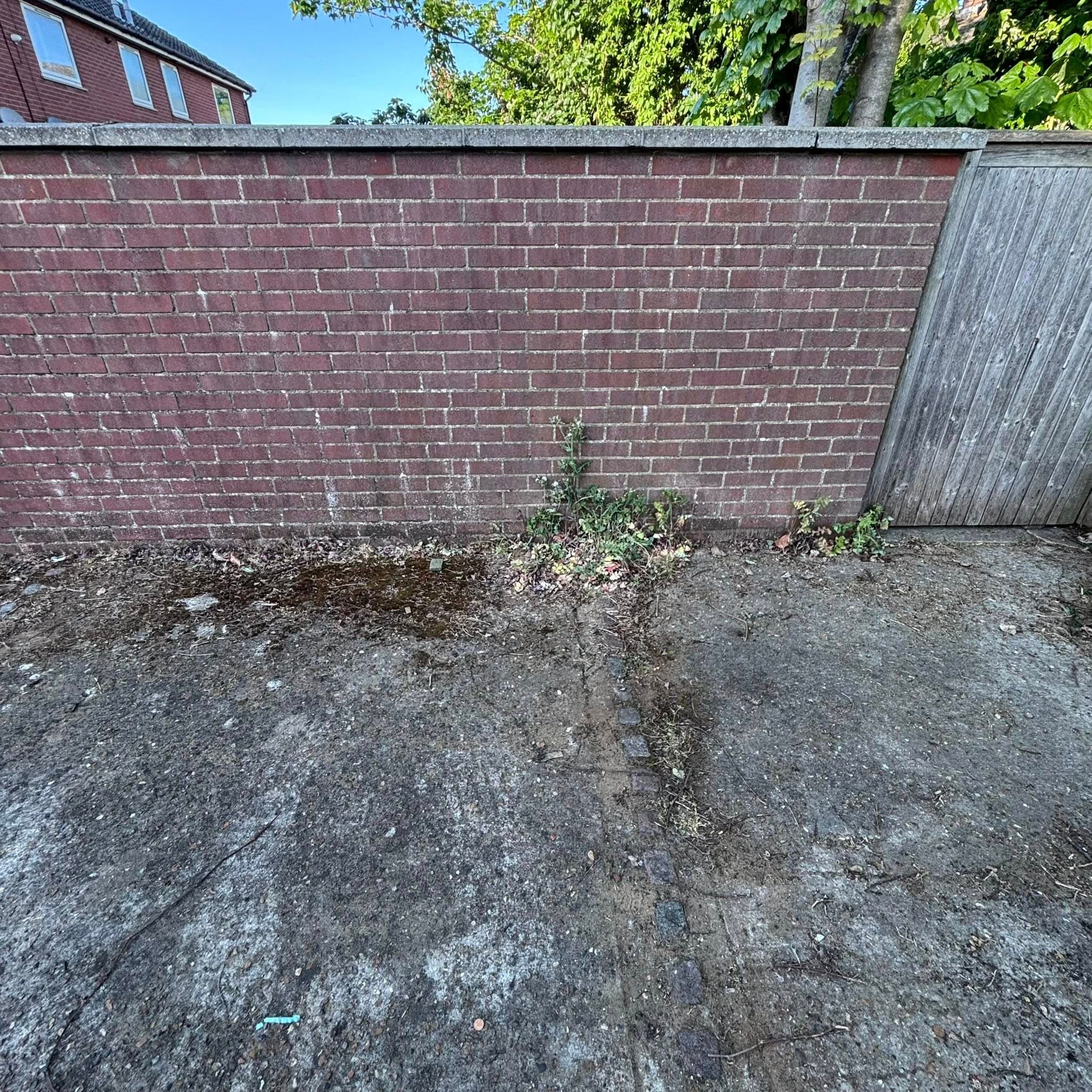 Suffolk Clearance job photo 6